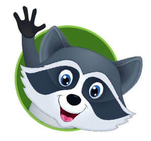 racoon-about